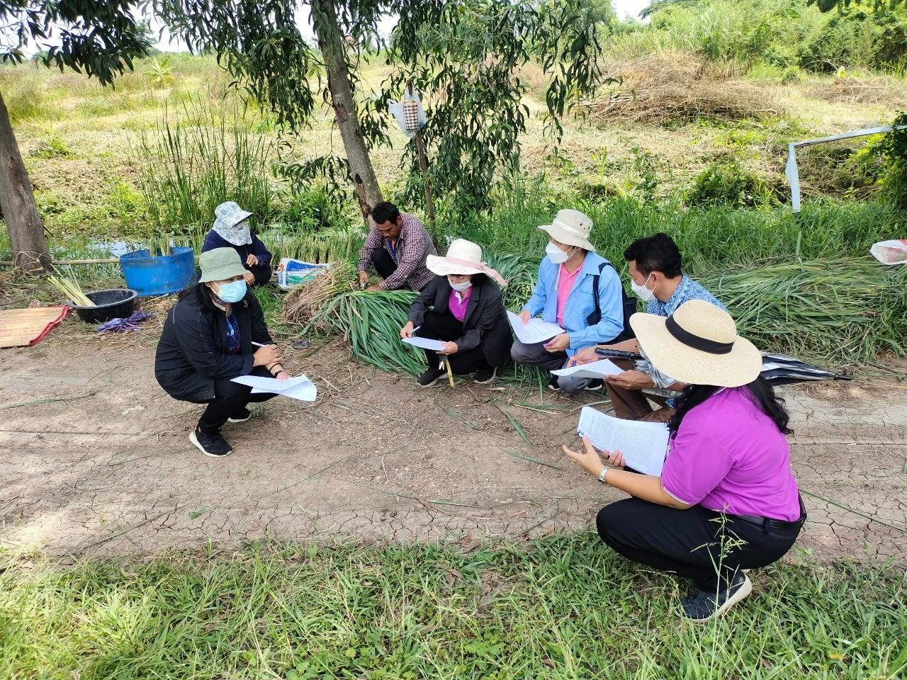 title - ลงพื้นที่ติดตามประเมินผลโครงการศูนย์ส่งเสริมและขยายพันธุ์พืชในเขตปฏิรูปที่ดิน อ.ลาดบัวหลวง จ.พระนครศรีอยุธยา